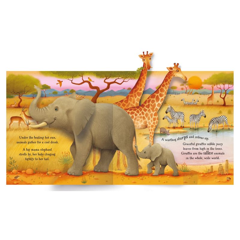 Carti si Birotica - Carti - Carti pentru copii - Carti interactive - Pop-Up Animals – Carte pentru copii 5+ ani, Usborne - Infinity.ro