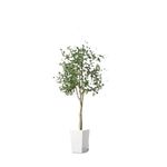 Casa si Gradina - Decoratiuni - Obiecte decorative - Plante artificiale - Maslin artificial din plastic in ghiveci 120 cm - Infinity.ro
