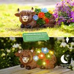 Casa si Gradina - Corpuri si surse de iluminat - Iluminat exterior - Lampi solare - Decoratiune de gradina, terasa, balcon cu LED-uri si panou solar 20.5x10.5 cm, Vacuta - Infinity.ro