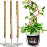 Casa si Gradina - Gradinarit si plante - Plante si ghivece - Ghivece si suporturi - Stalpi ajustabili pentru sprijin plante de casa, set 3x76 cm - Infinity.ro