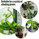 Casa si Gradina - Gradinarit si plante - Plante si ghivece - Ghivece si suporturi - Stalpi ajustabili pentru sprijin plante de casa, set 3x76 cm - Infinity.ro