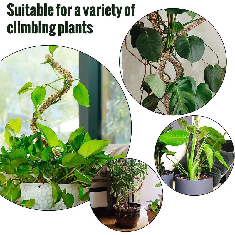 Casa si Gradina - Gradinarit si plante - Plante si ghivece - Ghivece si suporturi - Stalpi ajustabili pentru sprijin plante de casa, set 3x76 cm - Infinity.ro