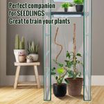 Casa si Gradina - Gradinarit si plante - Plante si ghivece - Ghivece si suporturi - Stalpi ajustabili pentru sprijin plante de casa, set 3x76 cm - Infinity.ro