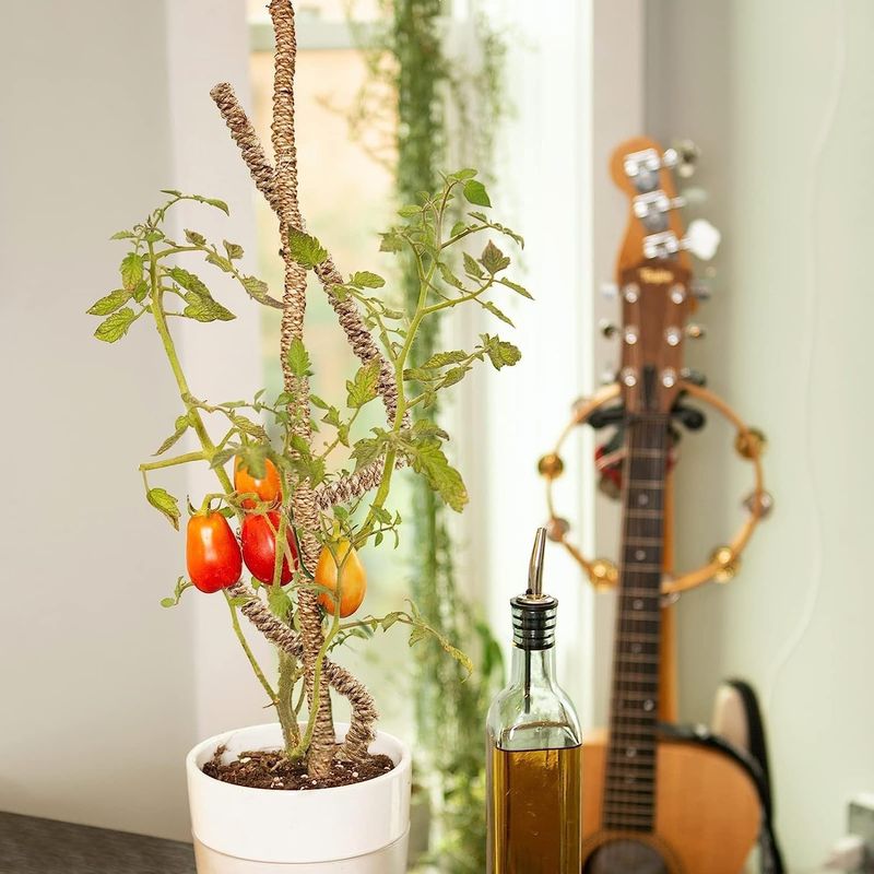 Casa si Gradina - Gradinarit si plante - Plante si ghivece - Ghivece si suporturi - Stalpi ajustabili pentru sprijin plante de casa, set 3x76 cm - Infinity.ro