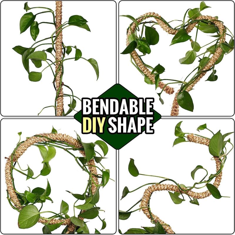 Casa si Gradina - Gradinarit si plante - Plante si ghivece - Ghivece si suporturi - Stalpi ajustabili pentru sprijin plante de casa, set 3x76 cm - Infinity.ro