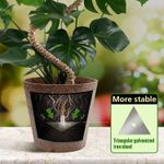 Casa si Gradina - Gradinarit si plante - Plante si ghivece - Ghivece si suporturi - Stalpi ajustabili pentru sprijin plante de casa, set 3x76 cm - Infinity.ro