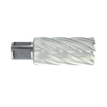 Casa si Gradina - Constructii - Scule electrice si accesorii - Seturi si accesorii pentru gaurit si insurubat - Carota HSS cu prindere Weldon (3/4'') lungime 50 mm, DIM 12.0 - Infinity.ro