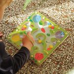 Jucarii, Copii si Bebe - Jucarii si jocuri - Jucarii bebelusi - Jucarii de sortat - Joc magnetic de sortare, Djeco - Infinity.ro