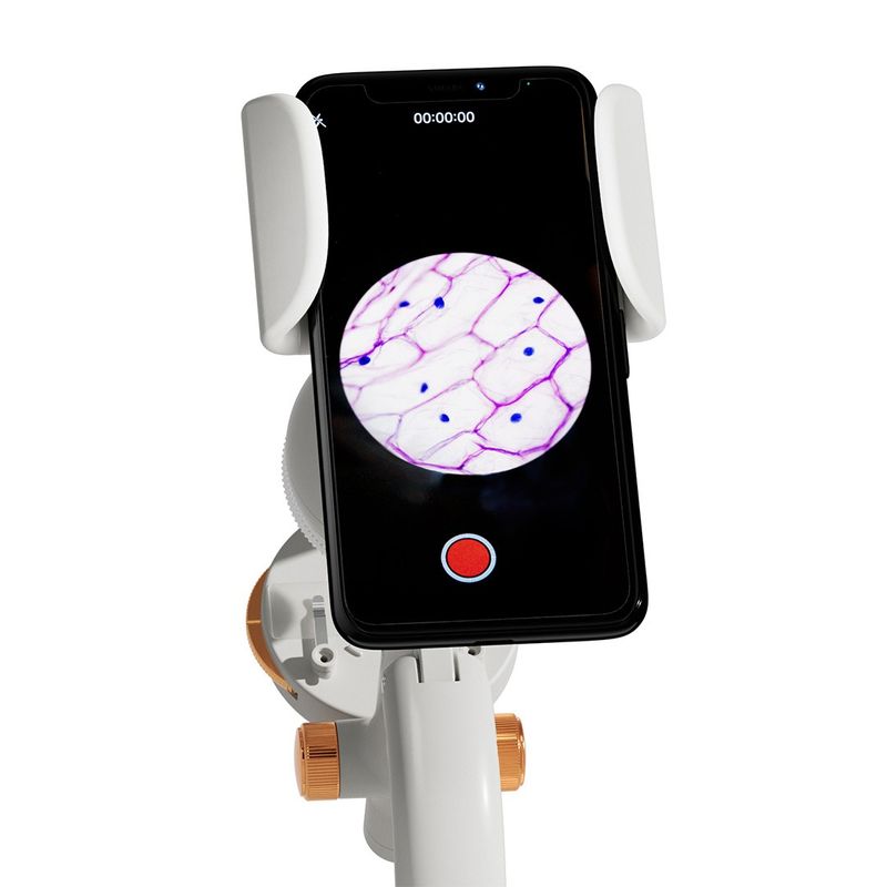 Jucarii, Copii si Bebe - Jucarii si jocuri - Jucarii & jocuri educative - Jocuri si jucarii educative - Joc STEM Set de laborator Microscop 1600, TopBright - Infinity.ro