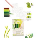 Carti si Birotica - Rechizite - Pictura si desen - Acuarele si culori - Set de colorat Natura, Moulin Roty - Infinity.ro