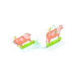 Jucarii, Copii si Bebe - Jucarii si jocuri - Jucarii & jocuri educative - Seturi de artizanat - Set creativ de stickere reutilizabile Ferma, Djeco - Infinity.ro