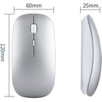 PC, gaming si accesorii - Periferice PC - Mouse - VU-TEK 199 Mouse Wireless Dual mode Bluetooth + WIFI reincarcabil - Silver Luminous - Infinity.ro