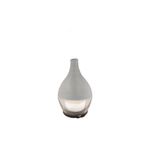 Casa si Gradina - Decoratiuni - Aromaterapie si lumanari - Difuzoare aromaterapie - Difuzor aromaterapie, electric cu led , Sticla, 100 ml, Argintiu - Infinity.ro