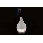 Casa si Gradina - Decoratiuni - Aromaterapie si lumanari - Difuzoare aromaterapie - Difuzor aromaterapie, electric cu led , Sticla, 100 ml, Argintiu - Infinity.ro