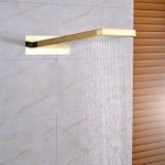 Casa si Gradina - Sanitare - Cazi si cabine de dus - Coloane si seturi de dus - Baterie dus, Blackswan, Tip M86, model auriu lucios, dimensiune 55 cm - Infinity.ro