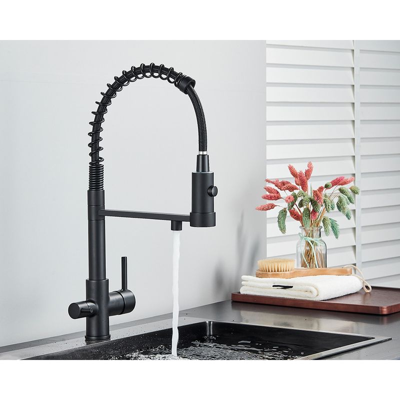 Casa si Gradina - Sanitare - Chiuveta bucatarie si accesorii - Baterii bucatarie - Baterie chiuveta bucatarie, Blackswan, Tip M248, model negru cu iesire pentru apa purificata, dimensiune 48 cm - Infinity.ro