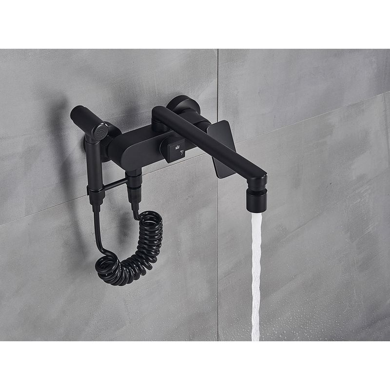 Casa si Gradina - Sanitare - Chiuveta bucatarie si accesorii - Baterii bucatarie - Baterie chiuveta bucatarie, Blackswan, Tip M201, cu doua moduri, model negru, dimensiune 24.5 cm - Infinity.ro