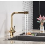 Casa si Gradina - Sanitare - Chiuveta bucatarie si accesorii - Baterii bucatarie - Baterie chiuveta bucatarie, Blackswan, Tip M5 cu iesire pentru apa purificata, model auriu, dimensiune 32 cm - Infinity.ro