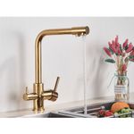Casa si Gradina - Sanitare - Chiuveta bucatarie si accesorii - Baterii bucatarie - Baterie chiuveta bucatarie, Blackswan, Tip M5 cu iesire pentru apa purificata, model auriu, dimensiune 32 cm - Infinity.ro
