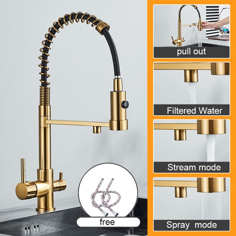 Casa si Gradina - Sanitare - Chiuveta bucatarie si accesorii - Baterii bucatarie - Baterie chiuveta bucatarie, Blackswan, Tip M252, model auriu mat cu iesire pentru apa purificata, dimensiune 48 cm - Infinity.ro
