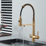 Casa si Gradina - Sanitare - Chiuveta bucatarie si accesorii - Baterii bucatarie - Baterie chiuveta bucatarie, Blackswan, Tip M252, model auriu mat cu iesire pentru apa purificata, dimensiune 48 cm - Infinity.ro