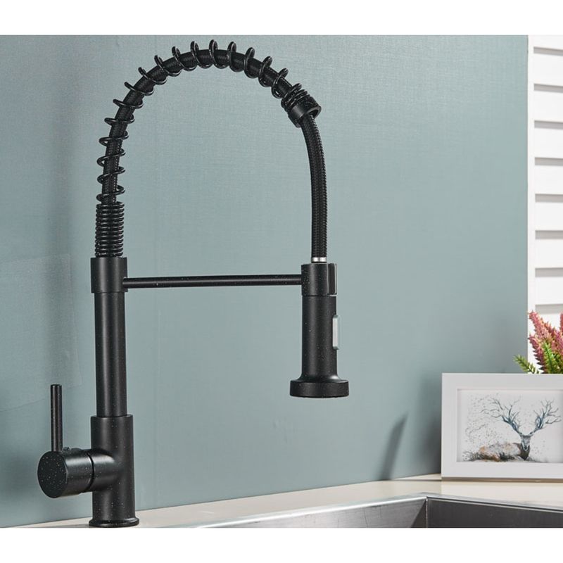Casa si Gradina - Sanitare - Chiuveta bucatarie si accesorii - Baterii bucatarie - Baterie chiuveta bucatarie, Blackswan, Tip M107 cu 2 moduri, model negru cu puncte albe, dimensiune 44 cm - Infinity.ro