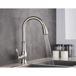 Casa si Gradina - Sanitare - Chiuveta bucatarie si accesorii - Baterii bucatarie - Baterie chiuveta bucatarie, Blackswan, Tip M92 cu 2 moduri, model nichel, dimensiune 42 cm - Infinity.ro