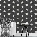 Casa si Gradina - Decoratiuni - DIY - Sabloane decorative pereti - Sablon Perete vopsire, tencuiala 900x600x0.7mm Star Pattern Refolosibil, model MXSP7127 - Infinity.ro