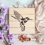 Casa si Gradina - Decoratiuni - DIY - Sabloane decorative pereti - Sablon Perete vopsire, tencuiala 0.7mm Colibri Decorativ model MXSP7440, 900 x 900 mm - Infinity.ro