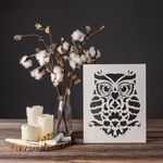 Casa si Gradina - Decoratiuni - DIY - Sabloane decorative pereti - Sablon Perete vopsire, tencuiala 0.7mm Bufnita model MXSP7398, 700 x 700 mm - Infinity.ro