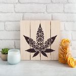 Casa si Gradina - Decoratiuni - DIY - Sabloane decorative pereti - Sablon Perete vopsire, tencuiala 0.7mm Mandala Weed Leaf Refolosibil, model MXSP7187, 500 x 500 mm - Infinity.ro