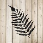 Casa si Gradina - Decoratiuni - DIY - Sabloane decorative pereti - Sablon Perete vopsire, tencuiala 0.7mm Ferns Stencil Refolosibil, model MXSP7172, 1000 x 1000 mm - Infinity.ro