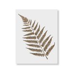 Casa si Gradina - Decoratiuni - DIY - Sabloane decorative pereti - Sablon Perete vopsire, tencuiala 0.7mm Ferns Stencil Refolosibil, model MXSP7172, 700 x 700 mm - Infinity.ro
