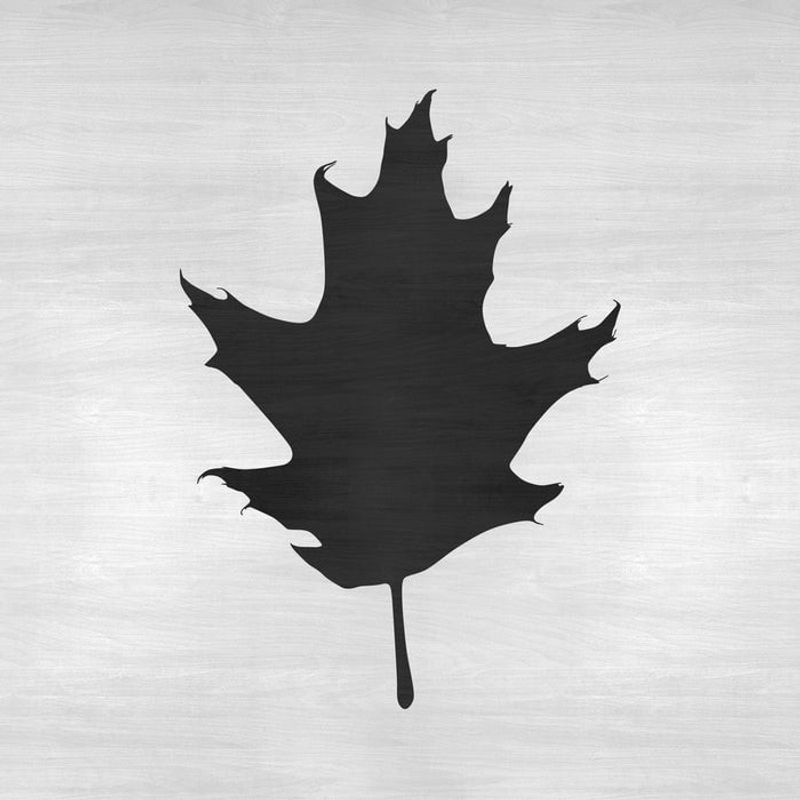 Casa si Gradina - Decoratiuni - DIY - Sabloane decorative pereti - Sablon Perete vopsire, tencuiala 0.7mm Oak Leaf Refolosibil, model MXSP7185, 500 x 500 mm - Infinity.ro
