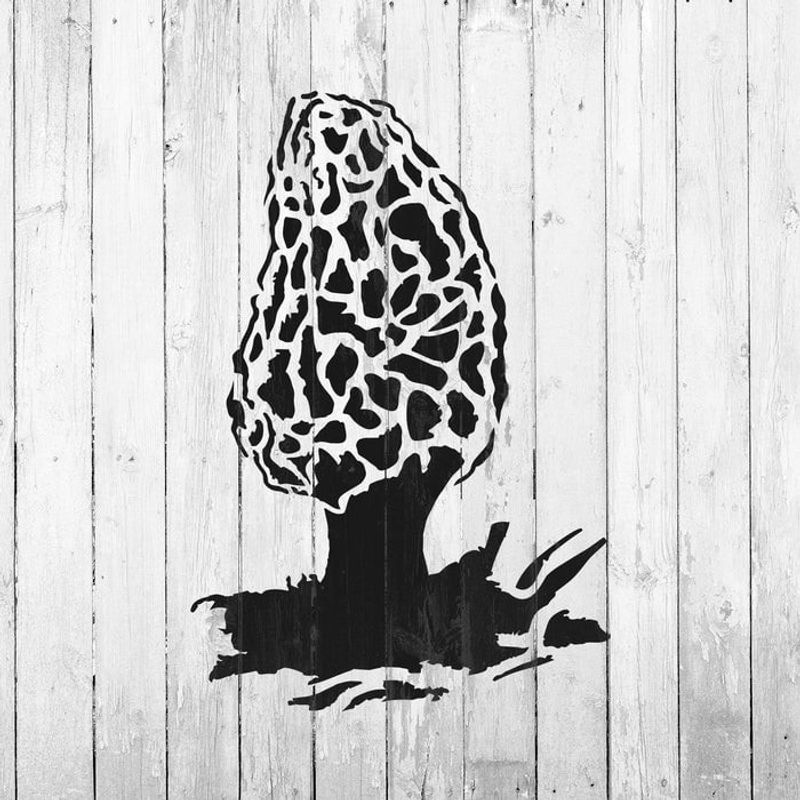 Casa si Gradina - Decoratiuni - DIY - Sabloane decorative pereti - Sablon Perete vopsire, tencuiala 0.7mm Morel Mushroom Refolosibil, model MXSP7204, 1000 x 1000 mm - Infinity.ro