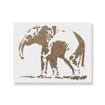 Casa si Gradina - Decoratiuni - DIY - Sabloane decorative pereti - Sablon Perete vopsire, tencuiala 0.7mm Elefant model MXSP7418, 600 x 600 mm - Infinity.ro