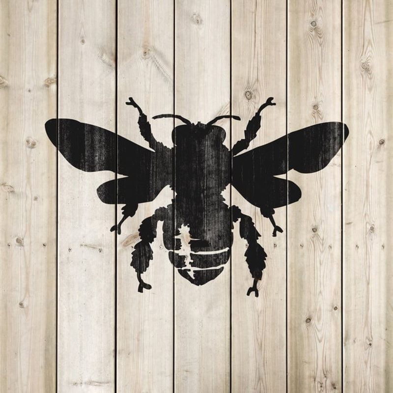 Casa si Gradina - Decoratiuni - DIY - Sabloane decorative pereti - Sablon Perete vopsire, tencuiala 0.7mm Albina model MXSP7408, 1000 x 1000 mm - Infinity.ro