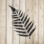 Casa si Gradina - Decoratiuni - DIY - Sabloane decorative pereti - Sablon Perete vopsire, tencuiala 0.7mm Ferns Stencil Refolosibil, model MXSP7172, 300 x 300 mm - Infinity.ro