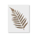 Casa si Gradina - Decoratiuni - DIY - Sabloane decorative pereti - Sablon Perete vopsire, tencuiala 0.7mm Ferns Stencil Refolosibil, model MXSP7172, 400 x 400 mm - Infinity.ro