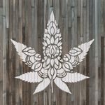 Casa si Gradina - Decoratiuni - DIY - Sabloane decorative pereti - Sablon Perete vopsire, tencuiala 0.7mm Mandala Weed Leaf Refolosibil, model MXSP7187, 900 x 900 mm - Infinity.ro