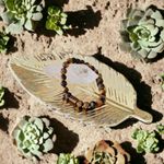 Fashion, accesorii si bijuterii - Barbati - Bijuterii barbati - Bratari barbati - Bratara barbati pietre naturale Ochi de Tigru Andri, margele de 8mm - Infinity.ro