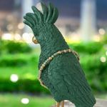 Fashion, accesorii si bijuterii - Femei - Bijuterii femei - Bratari femei - Bratara eleganta dama Selina din peridot si argint placat cu aur 925 - Infinity.ro