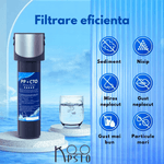 Casa si Gradina - Sanitare - Instalatii hidro - Sisteme filtrare instalatii - Cartus filtru apa Koopsio Q1, Compatibil cu Filtru de Apa Q1, Carbon activ - Infinity.ro