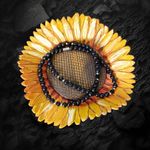 Fashion, accesorii si bijuterii - Barbati - Bijuterii barbati - Lanturi si pandantive barbati - Colier margele barbati Amadi din Agat Negru si Onix cu accesorii din inox si inchidere magnetica - Infinity.ro