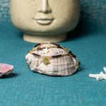 Fashion, accesorii si bijuterii - Femei - Accesorii femei - Alte accesorii femei - Lant de talie/Corp versatil din cristale de Agat Negru, placat cu aur de 18K - Infinity.ro