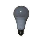 Casa si Gradina - Corpuri si surse de iluminat - Becuri si tuburi neon - Becuri - Bec LED E27 12W cu senzor crepuscular, auto ON/OFF, 6500K ,culoare- alb, rece - Infinity.ro