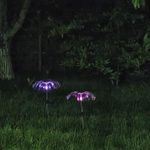 Casa si Gradina - Corpuri si surse de iluminat - Iluminat exterior - Lampi solare - Decoratiune Solara LED pentru Gradina, Set 2 Bucati, IP65, Iluminare Decorativa Exterior(pret pe bucata) - Infinity.ro