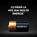 Casa si Gradina - Electrice - Accesorii electrice - Baterii, acumulatori si incarcatoare - Baterii alcaline DURACELL Plus Power R14 C 1.5V 4 bucati/blister - Infinity.ro