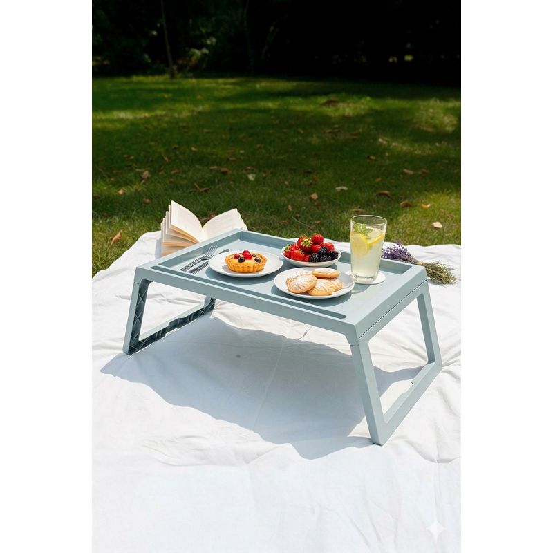 Casa si Gradina - Mobilier - Mese si birouri - Birouri - Birou laptop reglabil Lavine, 56 x 26, 3 x 36 cm, albastru pastel, baby albastru - Infinity.ro