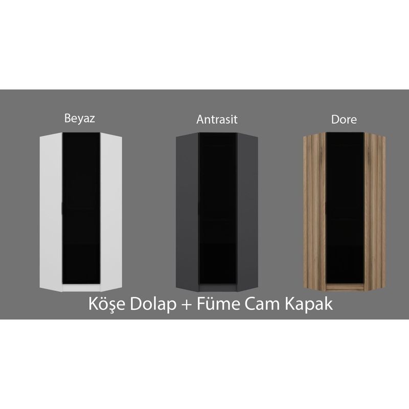 Casa si Gradina - Mobilier - Dulapuri si sifoniere - Sifoniere - Dulap haine Kale Glass Dark gri, 74 x 210 x 52 cm, PAL melaminat, organizare haine, stejar - Infinity.ro